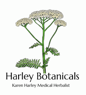 harley-logo_5